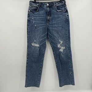 Pilcro Anthropologie Jeans Women 32 Blue Acid Wash VTG Straight Leg Distressed